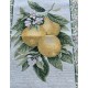 Chemin de table  Jacquard Citron 47x140m